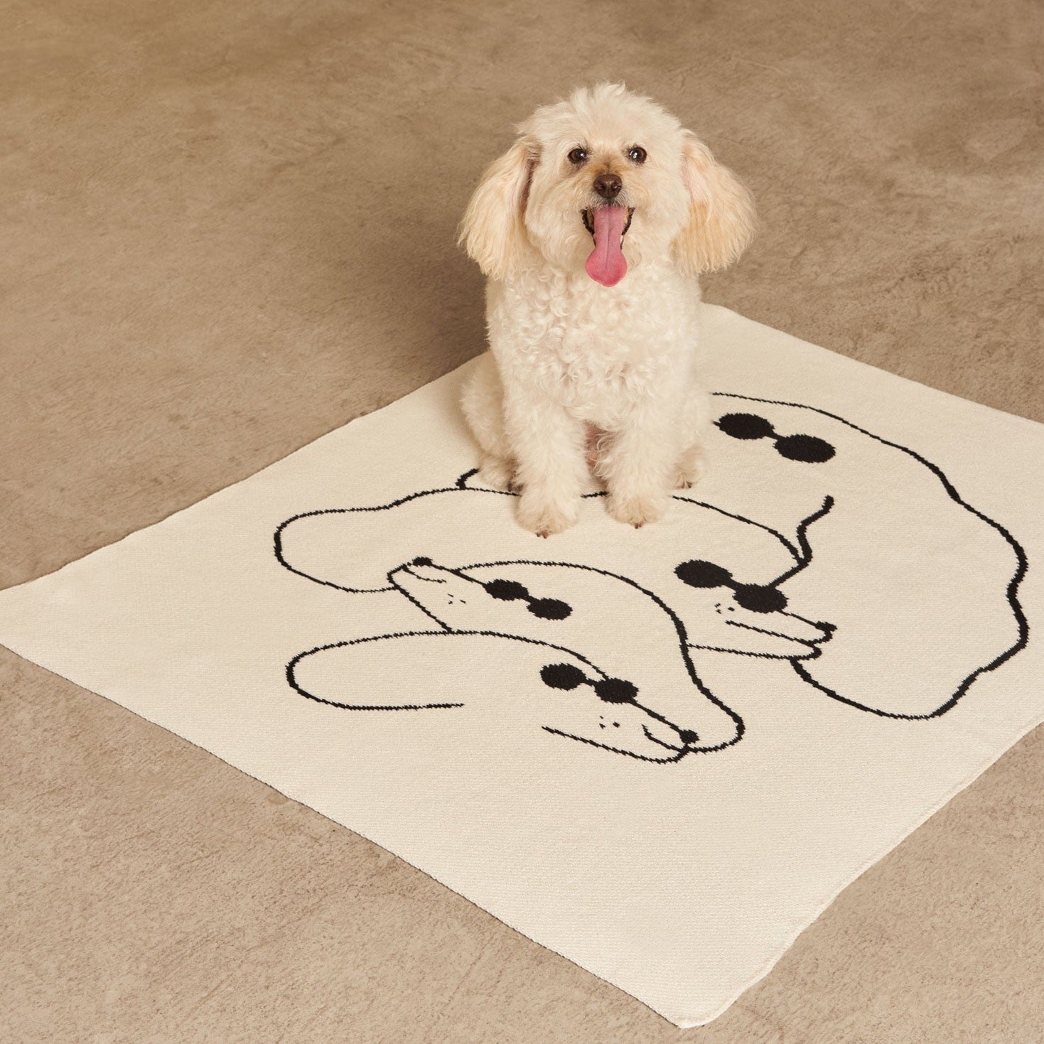 Dawgs Mini Blanket - Slowdown Studio