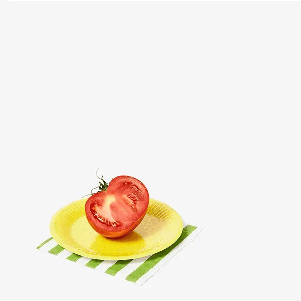 Everybody Grinder - Slowdown Studio